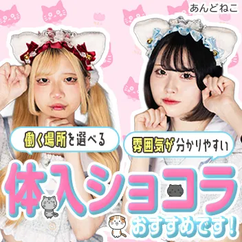 【昼・夜】あんどねこ