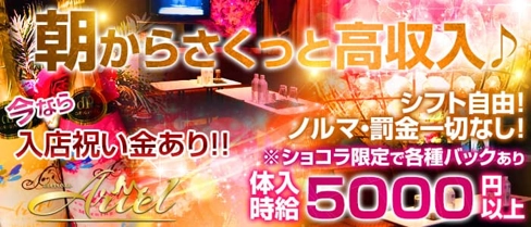 【朝昼キャバ】アリエル【公式求人・体入情報】(六本木昼キャバ・朝キャバ)の求人・体験入店情報