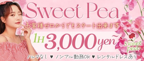 Sweet Pea(スイートピー)【公式求人・体入情報】(中洲スナック)の求人・体験入店情報