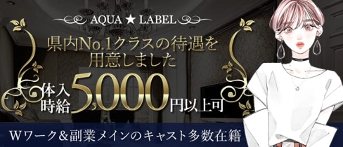 CLUB AQUA LABEL(アクアスターレーベル)【公式求人・体入情報】(南越谷キャバクラ)の求人・体験入店情報