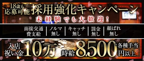 祇園 櫻 倶楽部【公式求人・体入情報】(祇園ニュークラブ)の求人・体験入店情報
