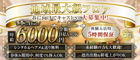 New Club CIEL(シエル)【公式求人・体入情報】(新所沢キャバクラ)の求人・体験入店情報