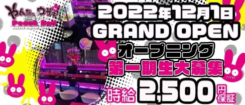 Peach Doll(ピーチドール)【公式求人・体入情報】(中洲ガールズバー)の求人・体験入店情報