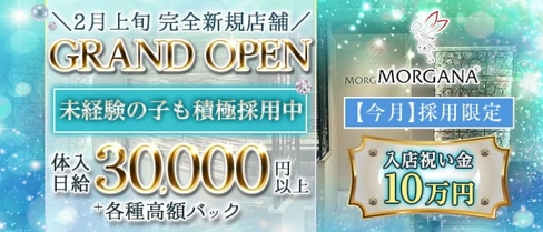 【会員制】Morgana(モルガナ)【公式求人・体入情報】(三宮ラウンジ)の求人・体験入店情報
