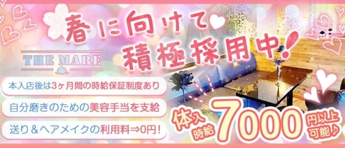 【津田沼】THE MARE(マーレ)【公式求人・体入情報】(船橋キャバクラ)の求人・体験入店情報