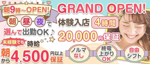 RAFTEL 朝昼&夜(ラフテル)【公式求人・体入情報】(新宿ガールズラウンジ)の求人・体験入店情報