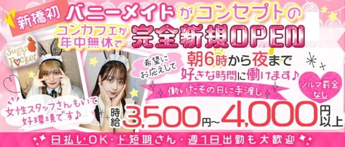 【朝昼夜】cafe & bar Sugar Pocket(シュガーポケット)【公式求人・体入情報】(新橋ガールズバー)の求人・体験入店情報