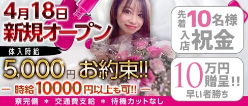 Regulus(レグルス)【公式求人・体入情報】(静岡キャバクラ)の求人・体験入店情報