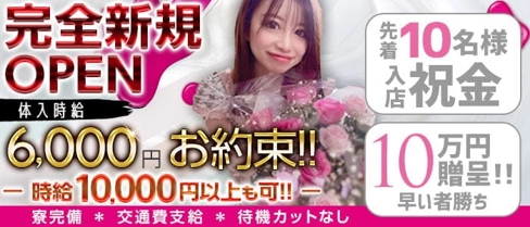 Regulus(レグルス)【公式求人・体入情報】(静岡キャバクラ)の求人・体験入店情報
