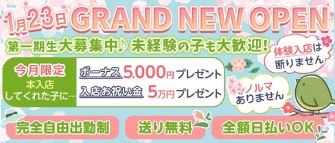 【福島】Barルミエール【公式求人・体入情報】(梅田ガールズバー)の求人・体験入店情報