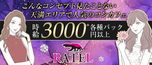 【天満】Bar Ratel(ラーテル)【公式求人・体入情報】(梅田ガールズバー)の求人・体験入店情報