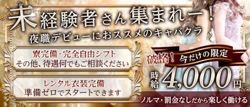 Club Cnest(シーネスト)【公式求人・体入情報】(国分町キャバクラ)の求人・体験入店情報