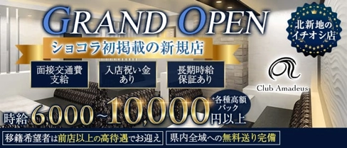 Club Amadeus(アマデウス)【公式求人・体入情報】(北新地ラウンジ)の求人・体験入店情報
