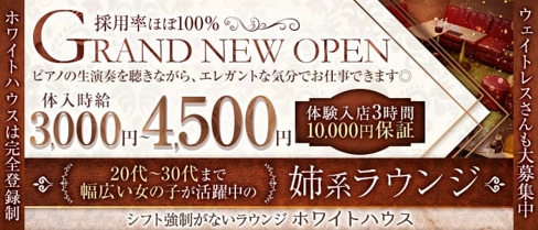 ピアノラウンジ ホワイトハウス【公式体入・求人情報】(関内姉キャバ・半熟キャバ)の求人・体験入店情報