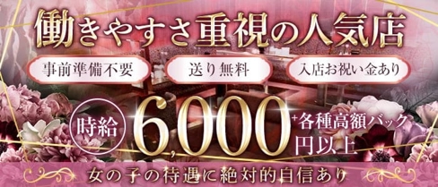 Club ELSA(エルサ)【公式求人・体入情報】(中洲キャバクラ)の求人・体験入店情報