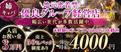 【相模原】pub club phoenix(フェニックス)【公式求人・体入情報】(町田姉キャバ・半熟キャバ)の求人・体験入店情報