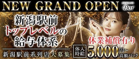 NEW CLUB Dor(ドール)【公式求人・体入情報】(新潟キャバクラ)の求人・体験入店情報