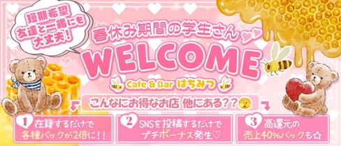 Cafe & Bar はちみつ【公式求人・体入情報】(歌舞伎町ガールズバー)の求人・体験入店情報