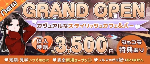 ガールズカフェ&バー ACE(エース)【公式求人・体入情報】(恵比寿ガールズバー)の求人・体験入店情報
