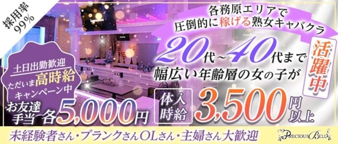 PRECIOUS BELL(プレシャスベル)【公式求人・体入情報】(各務原熟女キャバクラ)の求人・体験入店情報
