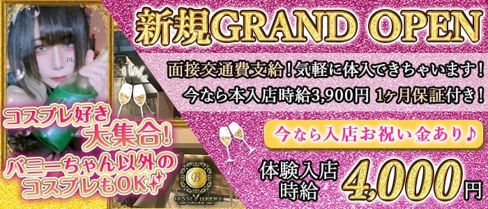 Bunny Terrace(バニーテラス)【公式体入・求人情報】(平塚ガールズバー)の求人・体験入店情報