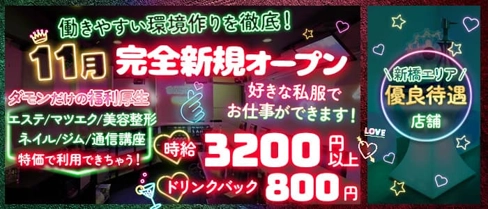 Girls Bar Damon(ダモン)【公式求人・体入情報】(新橋ガールズバー)の求人・体験入店情報