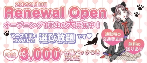 アニマルコンセプトカフェ Lilly(リリー)【公式体入・求人情報】(関内ガールズバー)の求人・体験入店情報