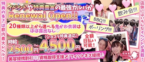 【新井薬師】Girls Bar 花木鳥(ハナキドリ)【公式求人・体入情報】(高田馬場ガールズバー)の求人・体験入店情報
