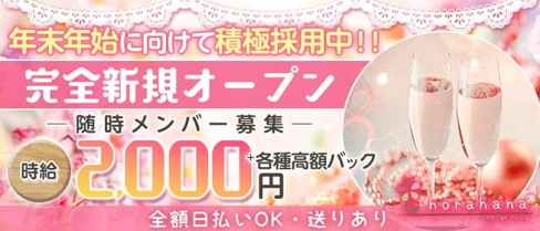 Girlsbar norahana (のらはな)【公式求人・体入情報】(飯田ガールズバー)の求人・体験入店情報