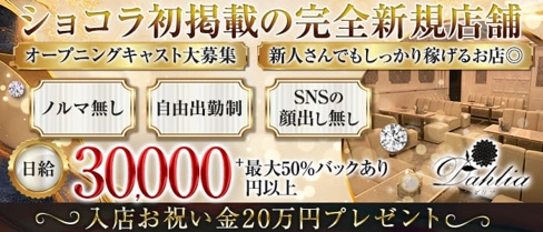 Dahlia-ダリア-【公式求人・体入情報】(三宮ラウンジ)の求人・体験入店情報