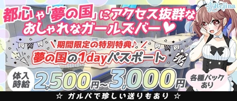 ガールズバー Rejina(レジーナ)【公式求人・体入情報】(浦安ガールズバー)の求人・体験入店情報