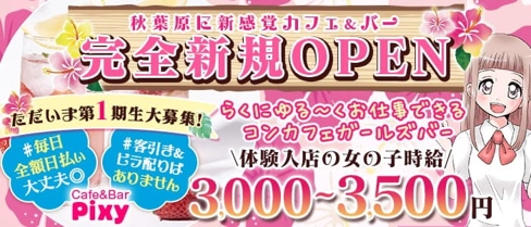 Cafe&Bar Pixy(ピクシー)【公式求人・体入情報】(秋葉原ガールズバー)の求人・体験入店情報