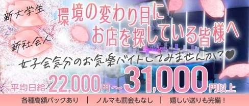 Girl's Bar EVAN (エヴァン)【公式求人・体入情報】(千葉ガールズバー)の求人・体験入店情報