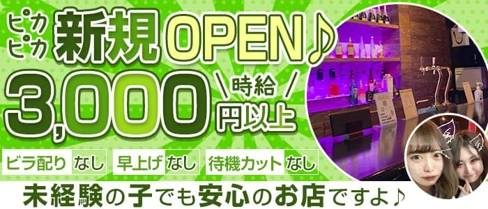 【南林間】Girls Bar egg (エッグ)【公式体入・求人情報】(大和ガールズバー)の求人・体験入店情報