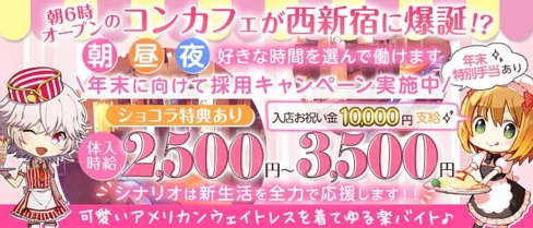 【西新宿】Girls Bar SCENARIO(シナリオ)【公式求人・体入情報】(歌舞伎町ガールズバー)の求人・体験入店情報