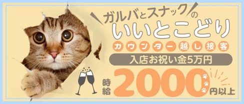 Girls Snack&Cocktail Bar QUALITY(クオリティ)【公式求人・体入情報】(別府ガールズバー)の求人・体験入店情報