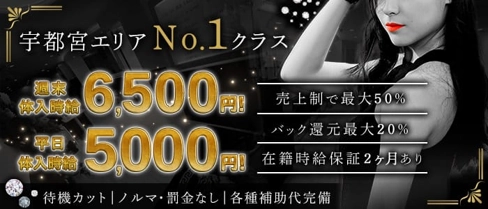 ROYAL CLUB(ロイヤルクラブ)【公式求人・体入情報】(宇都宮キャバクラ)の求人・体験入店情報
