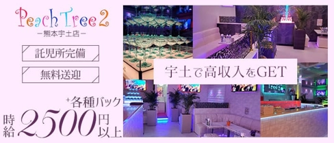 Peach Tree 2 熊本宇土店 (ピーチツリーツー)【公式求人・体入情報】(宇土キャバクラ)の求人・体験入店情報