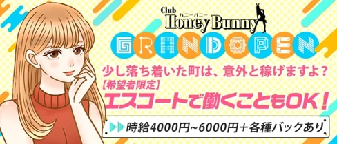 HONEY BUNNY(ハニーバニー)【公式求人・体入情報】(川越キャバクラ)の求人・体験入店情報