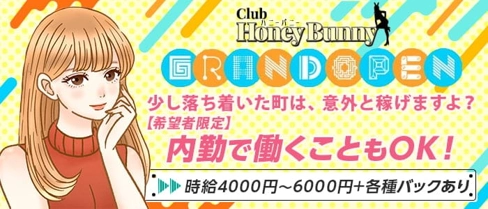 HONEY BUNNY(ハニーバニー)【公式求人・体入情報】(川越キャバクラ)の求人・体験入店情報
