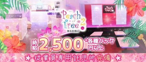 Peach Tree 2 熊本松橋店(ピーチツリーツー)【公式求人・体入情報】(松橋キャバクラ)の求人・体験入店情報