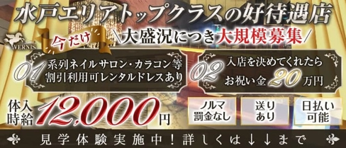 VERNIS(ヴェルニ)【公式求人・体入情報】(水戸キャバクラ)の求人・体験入店情報