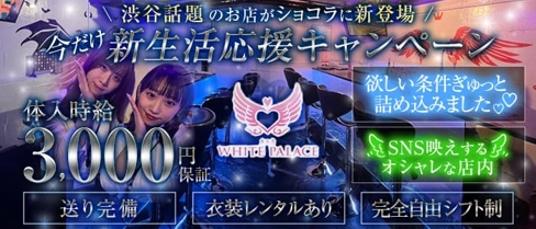 BAR WHITE PALACE(ホワイトパレス)【公式求人・体入情報】(渋谷ガールズバー)の求人・体験入店情報
