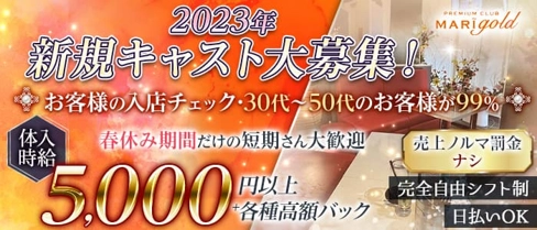 MARI GOLD(マリーゴールド)【公式求人・体入情報】(八王子キャバクラ)の求人・体験入店情報