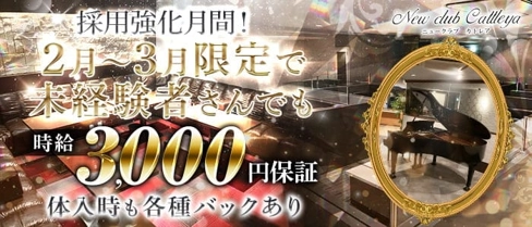 New club Cattleya(カトレア)【公式求人・体入情報】(佐賀キャバクラ)の求人・体験入店情報