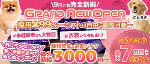 【下赤塚駅】”New”ガールズバー キュア【公式求人・体入情報】(池袋ガールズバー)の求人・体験入店情報