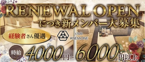 アネモネ【公式求人・体入情報】(北新地ラウンジ)の求人・体験入店情報