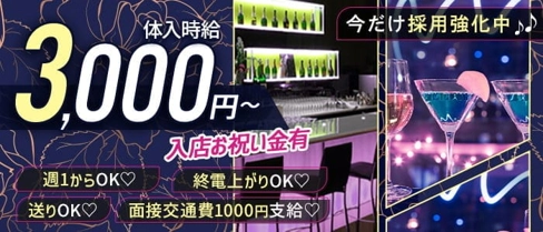 ALL IN(オールイン)【公式求人・体入情報】(中洲ガールズバー)の求人・体験入店情報