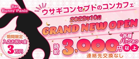 Bar Bunny Panic(バニーパニック)【公式求人・体入情報】(天王寺ガールズバー)の求人・体験入店情報