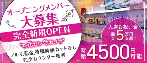 元カレ今カノ【公式求人・体入情報】(歌舞伎町ガールズバー)の求人・体験入店情報